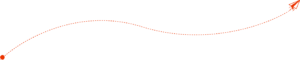 process line 300x60 1